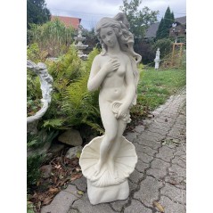 Zrodenie Venuše (stredné)