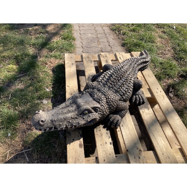 krokodýl velký
